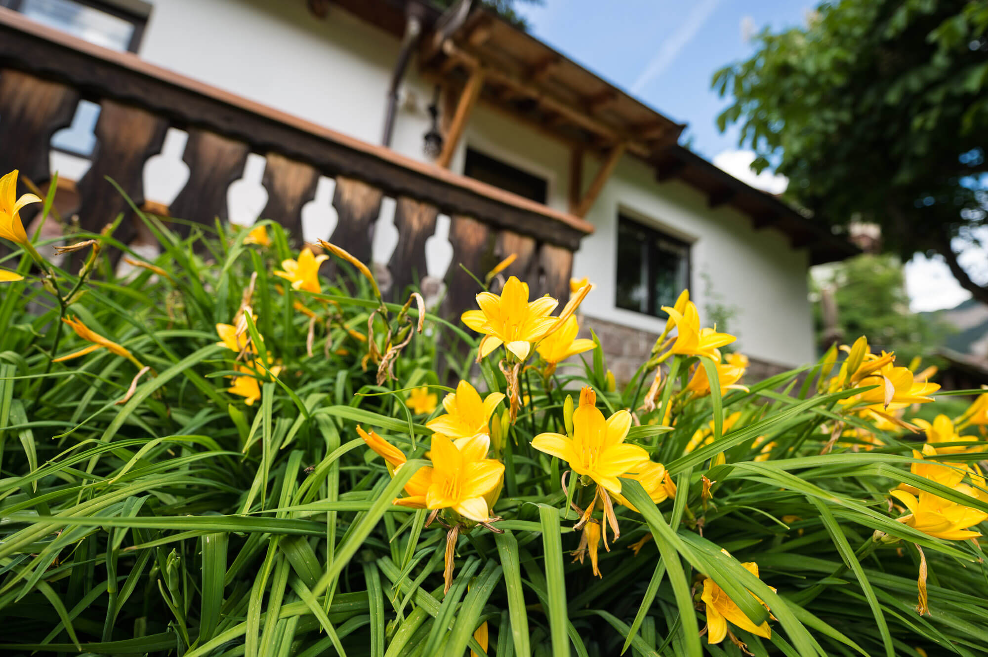 Garden Bungalow Exterior